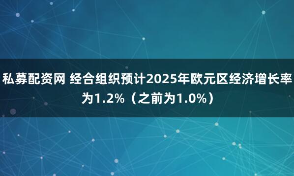 私募配资网 经合组织预计2025年欧元区经济增长率为1.2%（之前为1.0%）